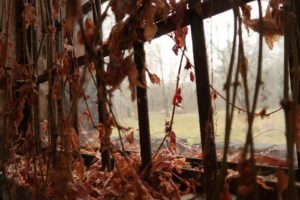 Fot. Monika Kołodziejska_14