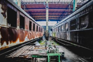 Fot. Piotr Ciesnowski_01