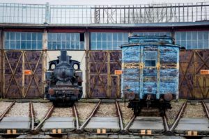 Fot. Piotr Ciesnowski_09