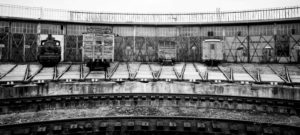 Fot. Piotr Ciesnowski_10