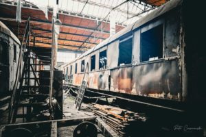 Fot. Piotr Ciesnowski_11