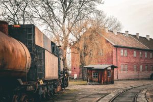 Fot. Piotr Ciesnowski_20