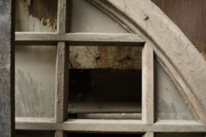 Fot. Sofiia Mykhailova_02