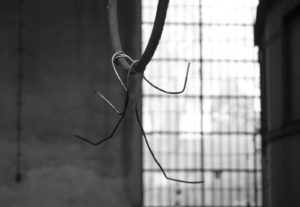 Fot. Sofiia Mykhailova_11