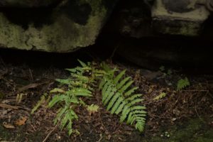 Fot. Sofiia Mykhailova_12