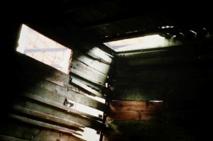 Fot. Zbigniew Kądzielski_01