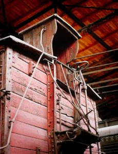 Fot. Zbigniew Kądzielski_04