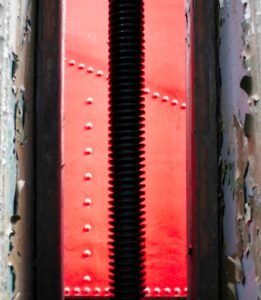 Fot. Zbigniew Kądzielski_14