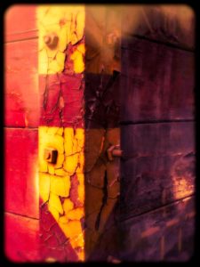 Fot. Zbigniew Kądzielski_17