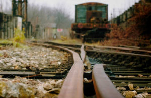 Fot. Zbigniew Kądzielski_23